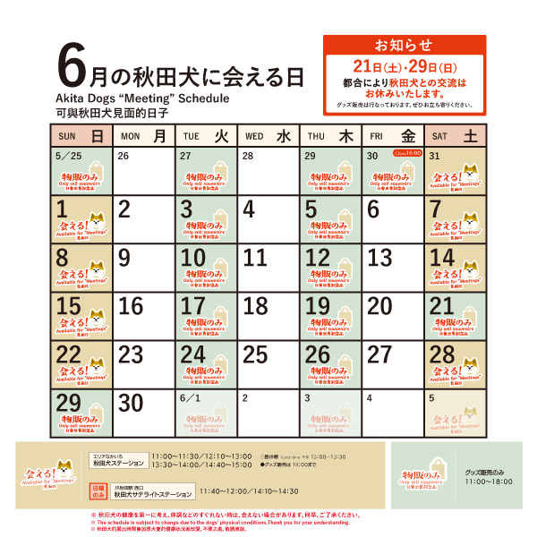 2025年6月に「秋田犬ステーション」で「秋田犬に会える日時」についてお知らせいたします。