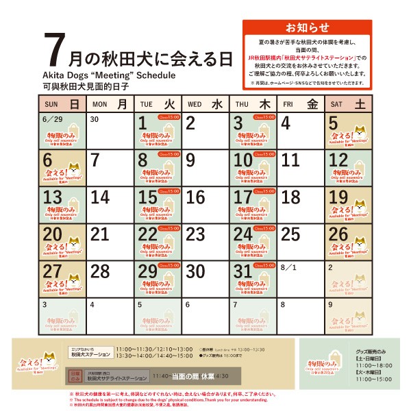 2025年7月に「秋田犬ステーション」で「秋田犬に会える時間」についてお知らせいたします。