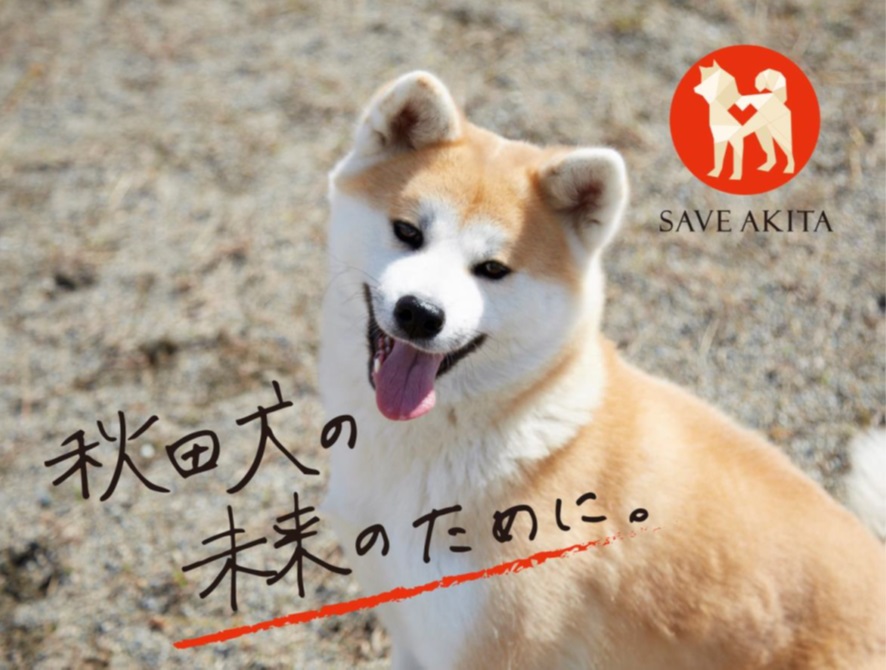 ONE FOR AKITAがふるさと納税を活用したクラウドファンディングに挑戦します!