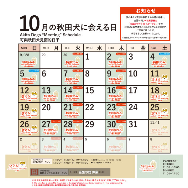 2025年10月に「秋田犬ステーション」で「秋田犬に会える時間」についてお知らせいたします。